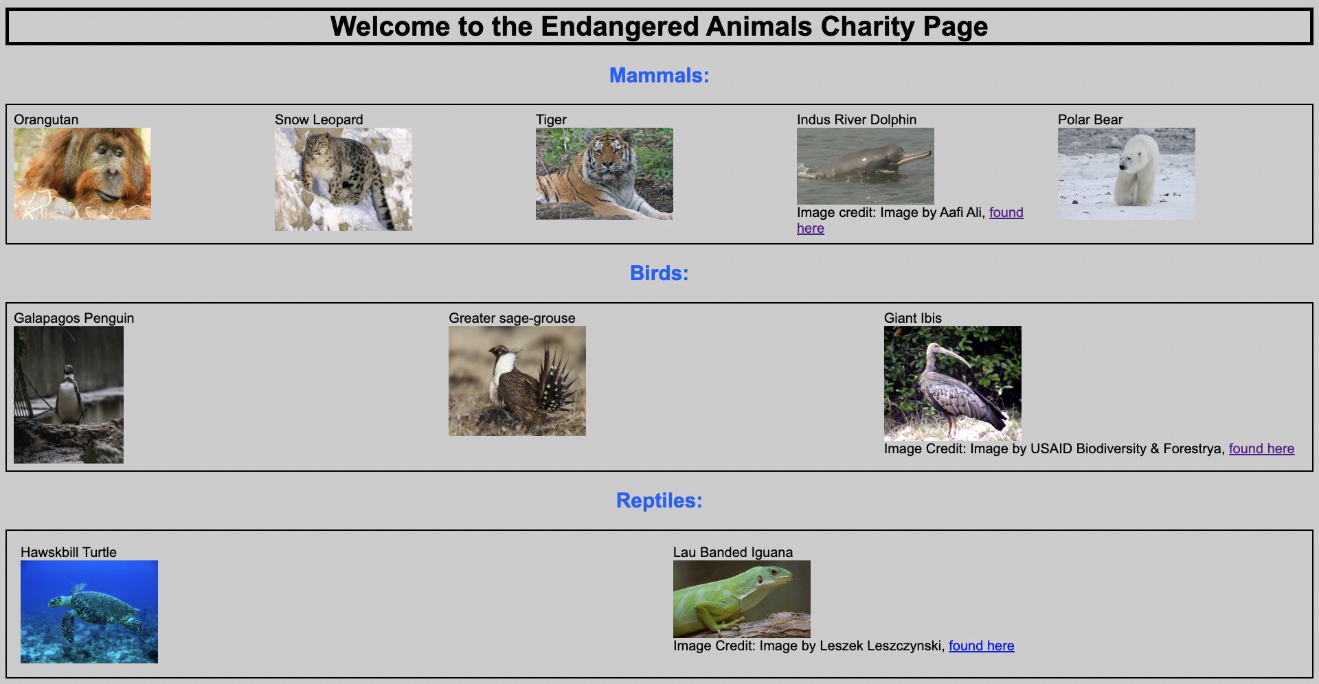 screenshot of endangered animals project